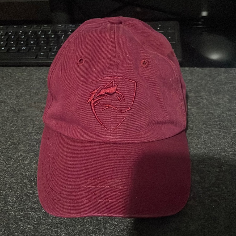 Alphalete Dad Hat - Burgundy Wolf Logo